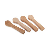 Mini Spoon Blank Set - Elm, European Walnut, Maple and Alder - 4 Piece