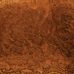 Australian Brown Mallee Burl Cap - 1 kg - 2 kg