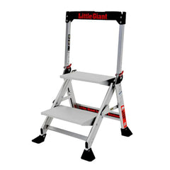Jumbo Step 2-Step Ladder