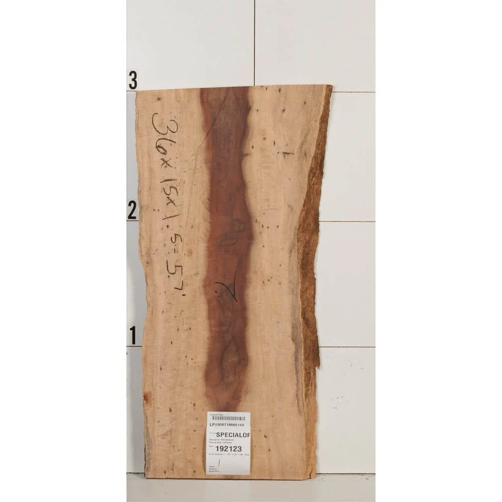 Curly Katalox Wood Slab
