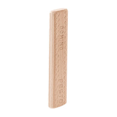 XL Beech Dominos, 10mm x 80mm, 150 Pieces