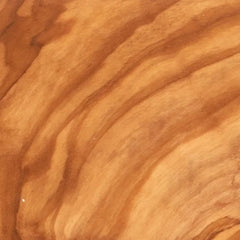 Roman Olivewood Wood Turning Stock