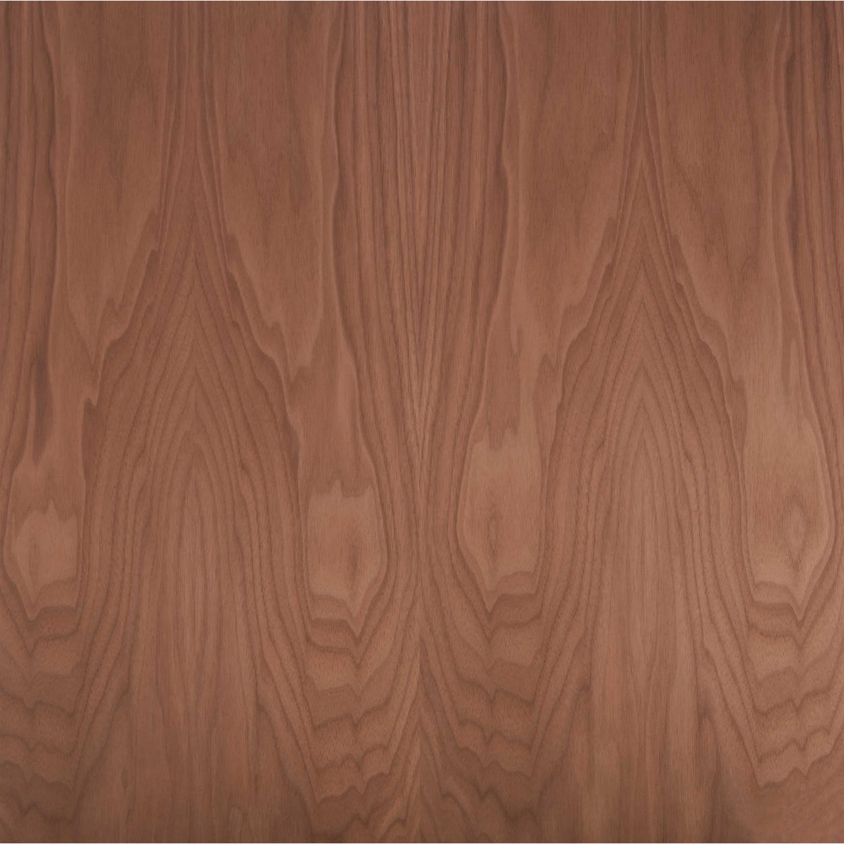 Walnut Plywood