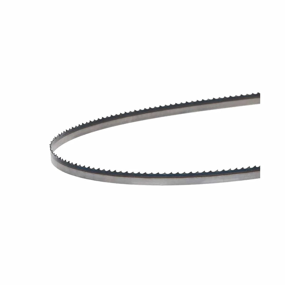 Bandsaw Blade - 56-1/8" x 3/8" x .025" x 6 TPI - Positive Claw