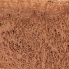 Australian Red Coolibah Burl Cap - 1 kg – 2 kg