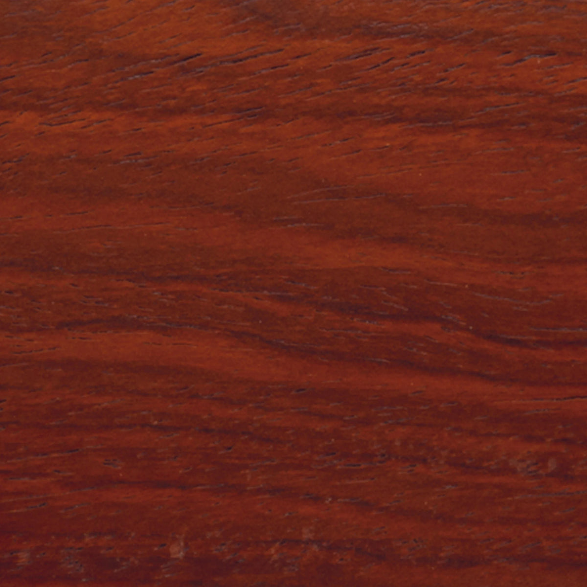Yucatan Rosewood Wood Turning Stock
