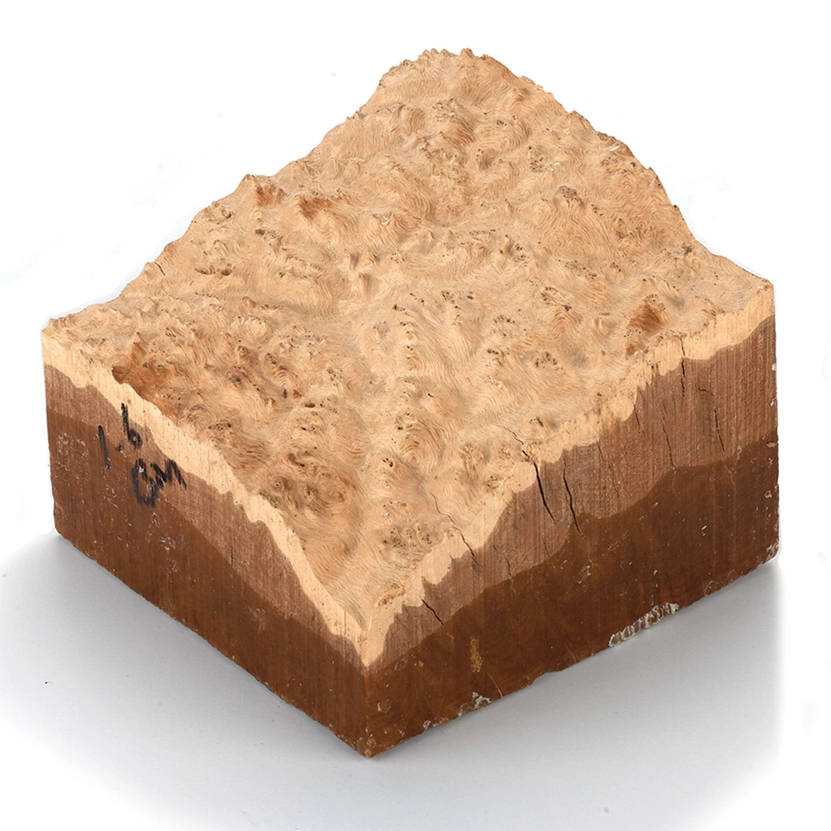 Australian Brown Mallee Burl Turning Blank - 1 kg - 2 kg