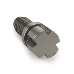 Woodworm Screw
